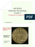 MICR3003 Lecture 2 Designer BacteriaDr J M Pemberton 2003