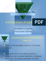 Fiziologija I Patologija Puerperija IV