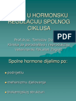 Hormonalna Regulacija Spolnog Ciklusa