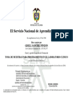 El Servicio Nacional de Aprendizaje SENA: Gisell Sanchez Pinzon