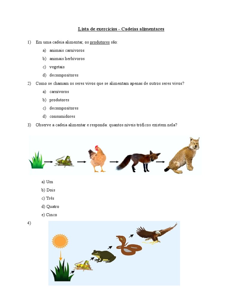 Como Desenhar uma Teia Alimentar: 11 Passos (com Imagens), image size:768x1024