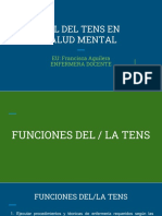 Rol Del Tens en Salud Mental