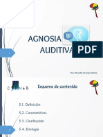 5.2. Agnosia Auditiva y Agnosia Táctil