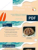 Case Study Presentation - Sea Urchin