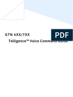 GTN 750 Comandos Voz