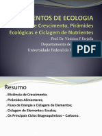 Pirâmides, Eficiências e Ciclo de Nutrientes