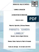 Tarea 4 - Parasito