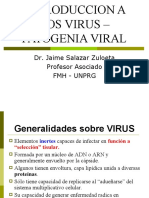 Introduccion A Los Virus