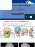 Aulas de Anatomia Radiológica PDF Romualdo
