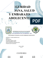 Seguridad Ciudadana, Salud y Embarazo Adolescente