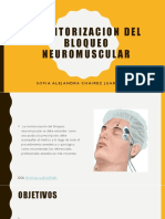 Monitorizacion Bloqueo Sofiachairez