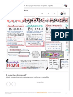 Mapa Mental_ Conjuntos Numéricos _ Passei Direto