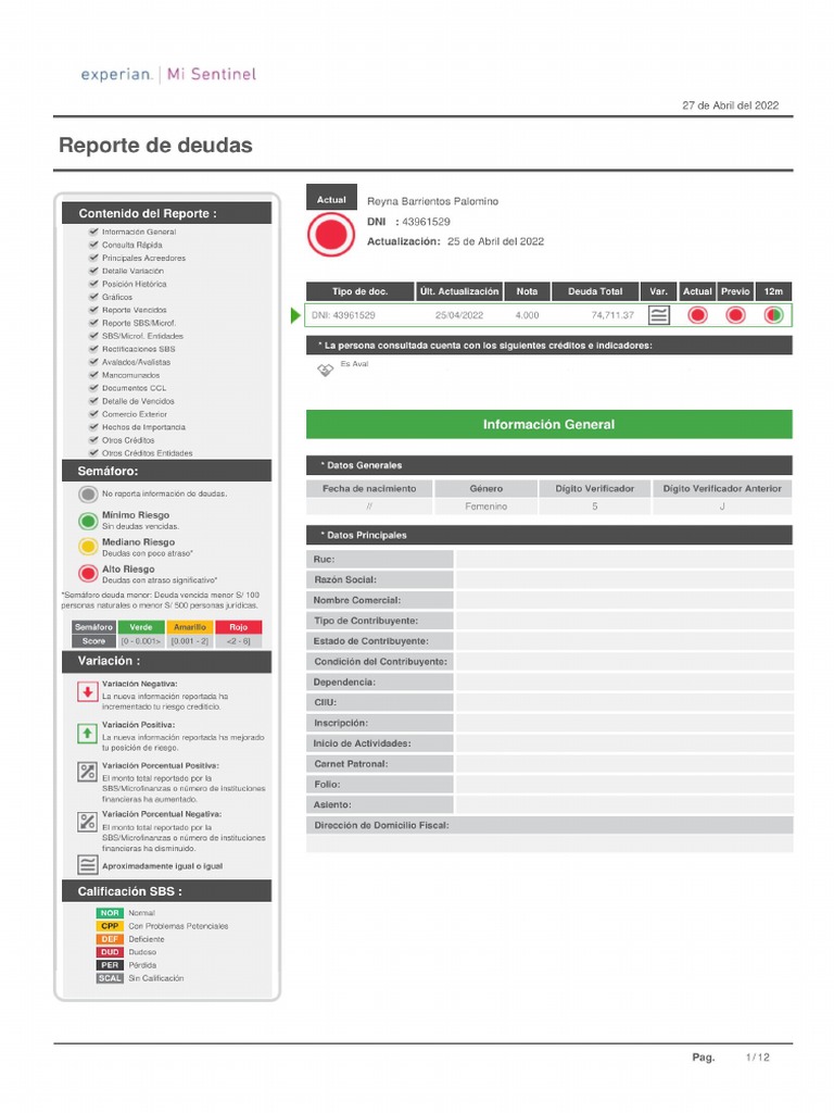 Sentinel Reporte Detallado 43961529 | PDF