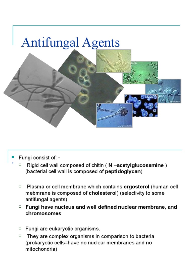 Antifungal Agents PDF Medical Specialties Clinical Medicine
