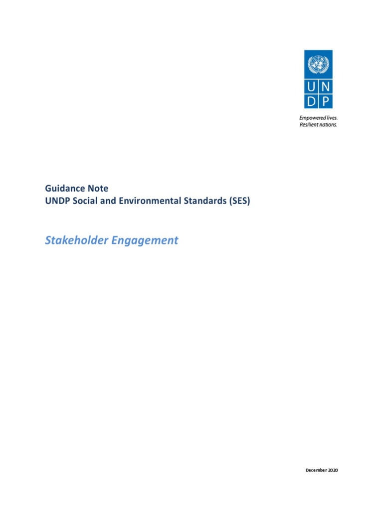 UNDP Stakeholder Engagement Guidance | PDF | Risk | United Nations ...
