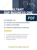 Consultant SAP-Nware