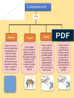 Tipos de Respiracion - Mapa