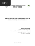 Download Reviso Bioqumica de Metionina Cisteina by Teo-Wellysson Vidal SN65910241 doc pdf