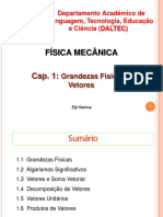 Cap 1 - Grandezas Físicas e Vetores (Compacto)