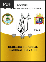 Texto Demanda | PDF | Derecho laboral | Outsourcing