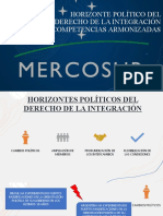 HORIZONTES POLÍTICOS DE LA INTEGRACIÓN EN MERCOSUR PW