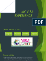My Viba Experience