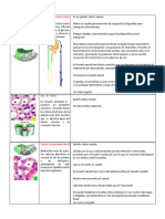 Resumen de Renal