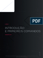 Linux - 1 - Introdução e Primeiros Comandos - RevFinal - 20220513