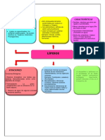 Quimica II Lipidos