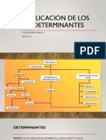 Algrebra Lineal Determinantes Cosme Suarez