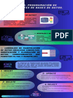 Infografia Base de Datos.