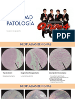 Láminas de Patologia - Unidad 2