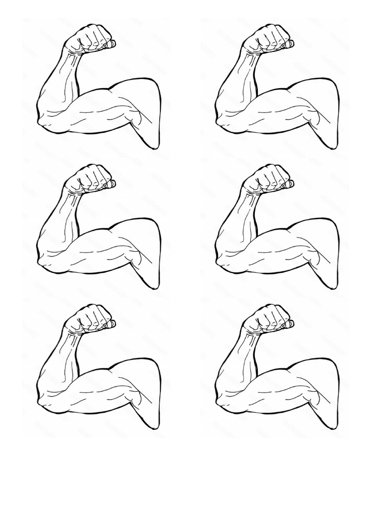 Hand | PDF