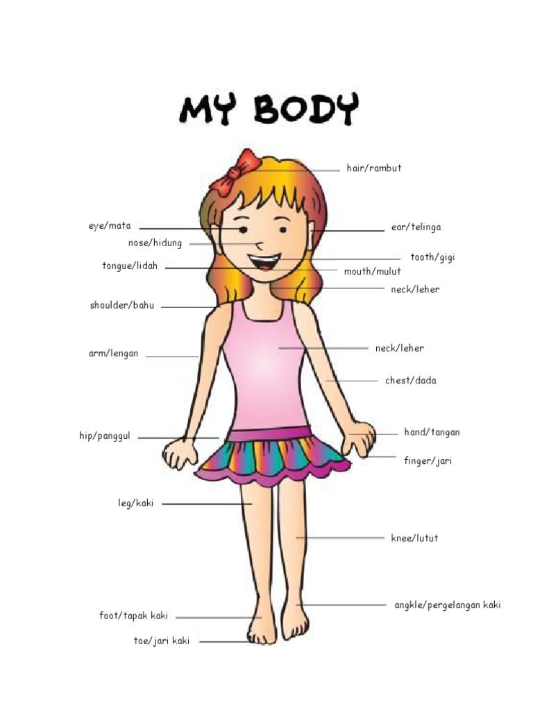 My Body | PDF