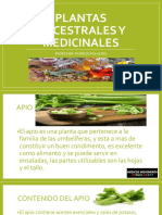Plantas Ancestrales y Medicinales Clase # 11a