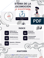 Sistema de Locomoción Generalidade de La Anatomía Humana