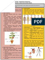 Organ Dan Sistem Organ