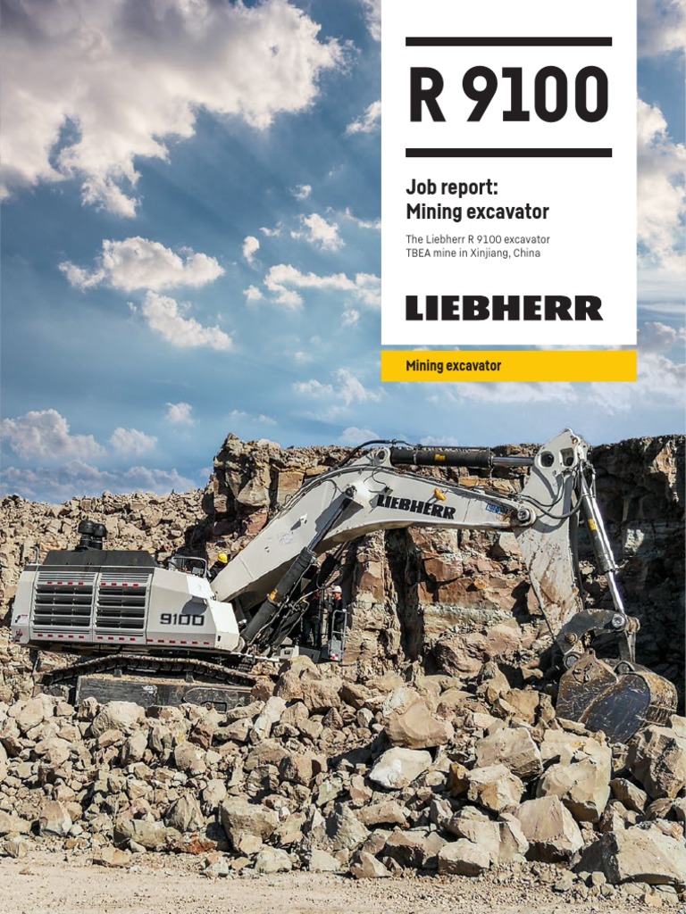 Liebherr r 9100 outlet