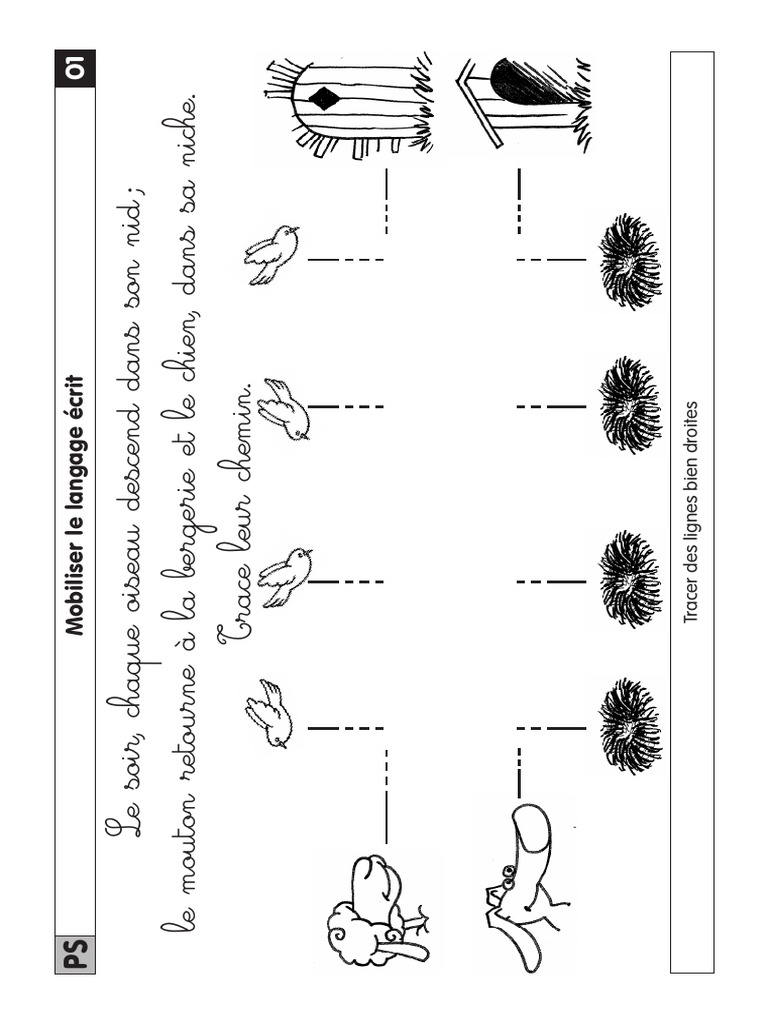 Fiches Ped Ps Ma | PDF