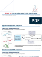 TEMA 10 . Metabolismo Del DNA. Replicación