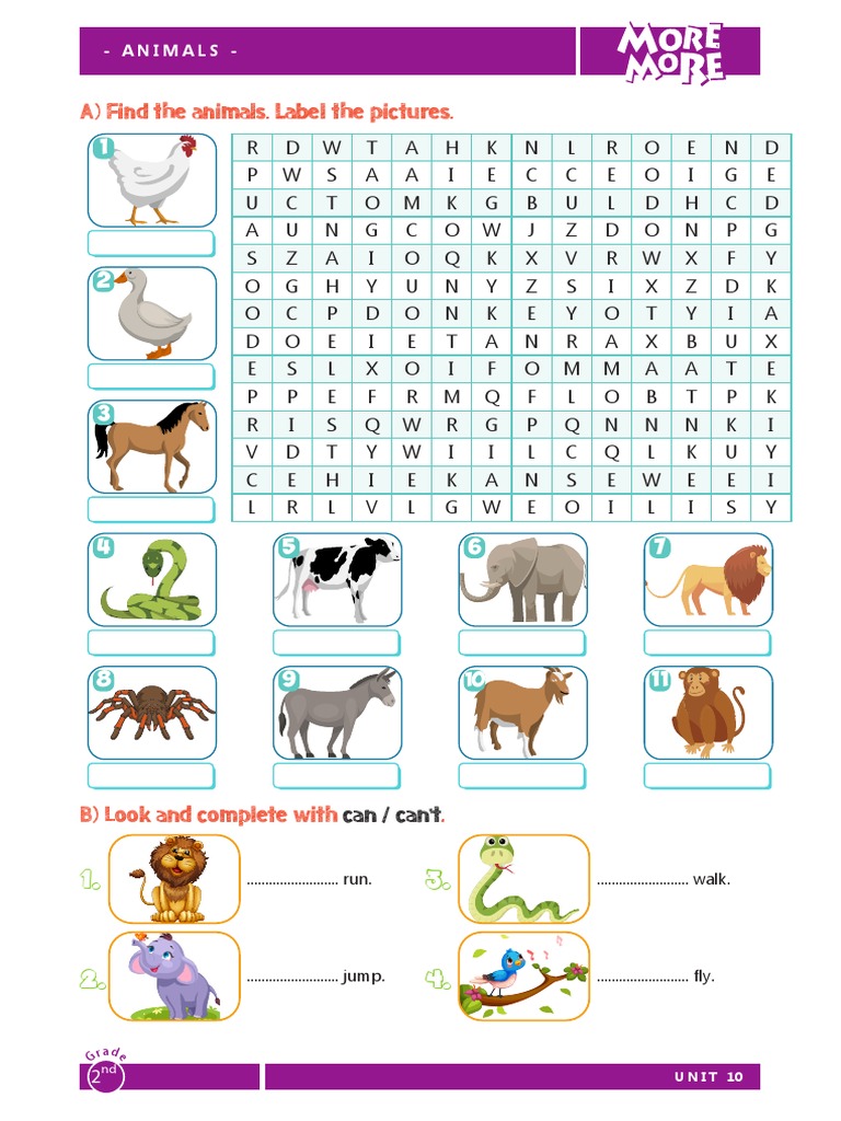 More &amp; More Worksheet 2.10 | PDF