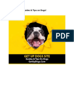 Get Up Dogs - Guides & Tips On Dogs!