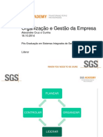 Modulo Organização e Gestao Da Empresa - SGS - 3 - Liderar - DOC