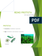 Reino Protista Epi