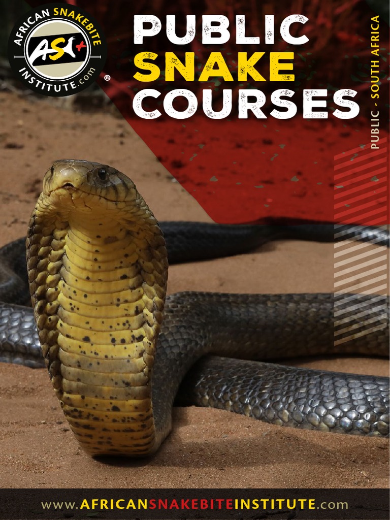 Snake Handling and Awareness Courses | PDF | Snake | Squamata