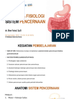 Anatomi Fisiologi Sistem Pencernaan S1 Kebidanan UBT
