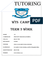 Wts Physical Science GR 10 Term 3 Camp