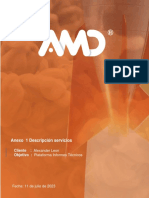 Descripcion Servicios AMD Predelmec Sas