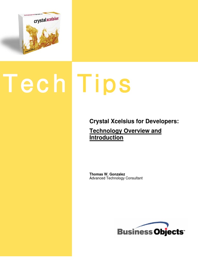 Crystal Xcelsius Developer White Paper PDF ModelViewController