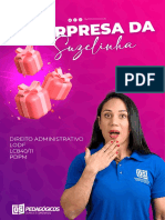 Ebook Da Suzelinha